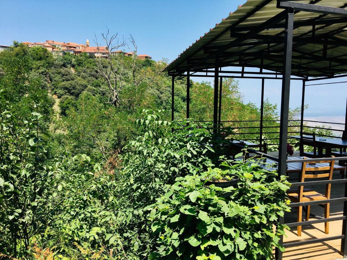 Lia'S Guest House Sighnaghi Exterior photo